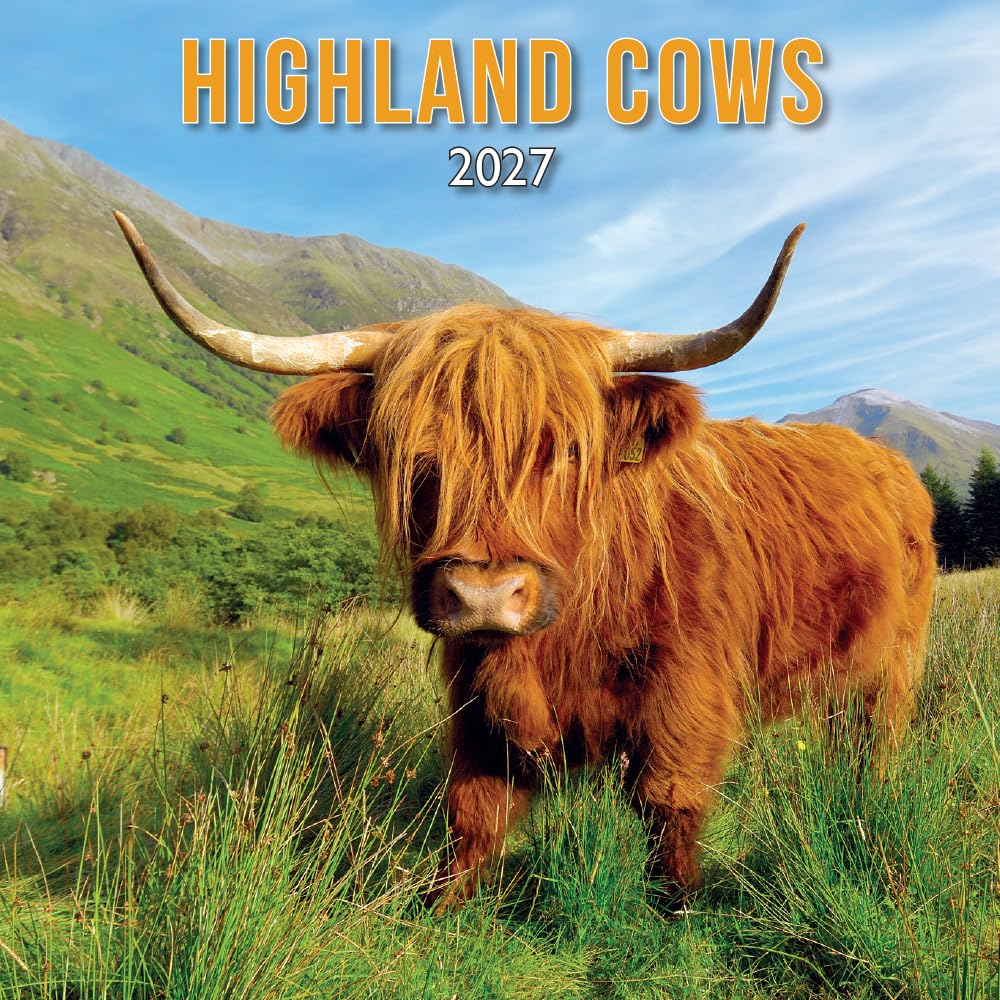 2027 Scotland Calendar: Highland Cows – Wall Calendar – Month to View – 12 Months