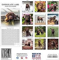 Vista 578 de Razas de Perros 2017