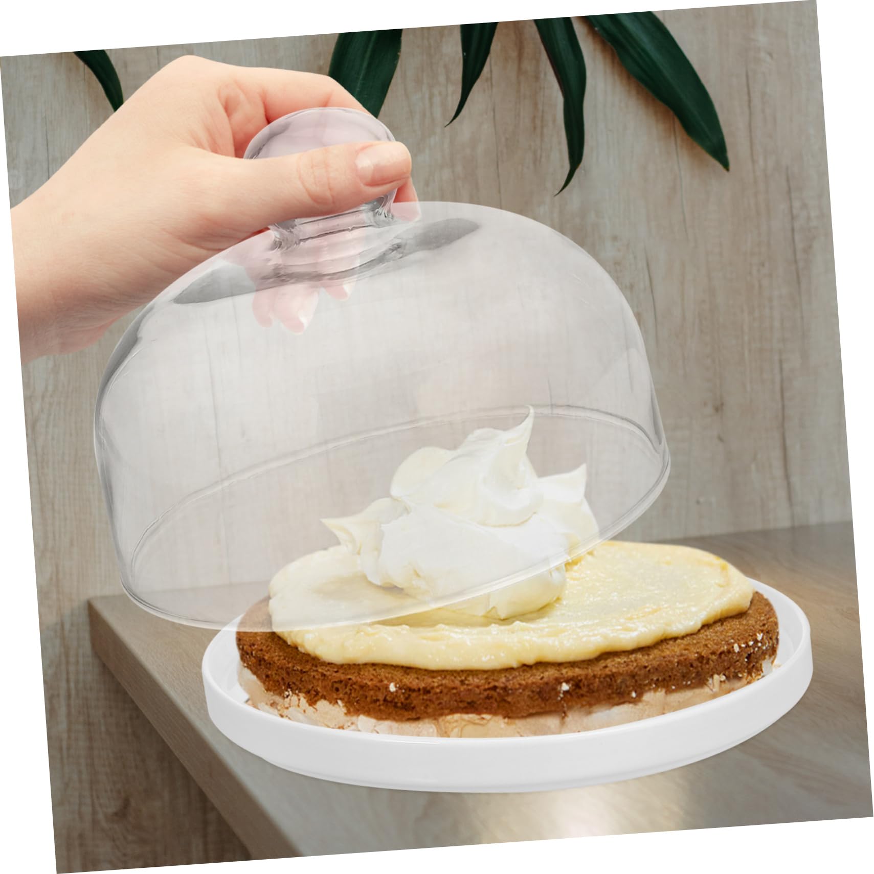 Cabilock Tortenständer Kuchenplatte mit Keramik Teller Tortenplatte Glasglocke Kuchenglocke Käseglocke Dessert Ständer Lebensmittel Abdeckung Abdeckhaube für Hochzeit Geburtstag Party S