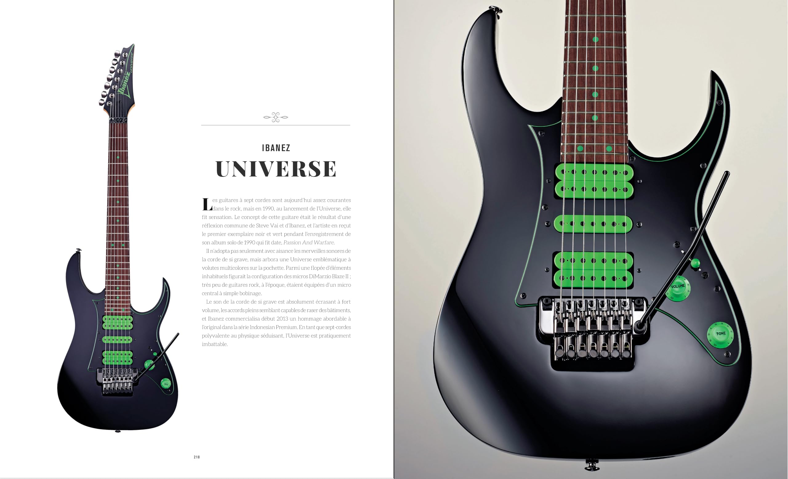 Guitares électriques de légende: Classiques, modernes, rares et anciennes