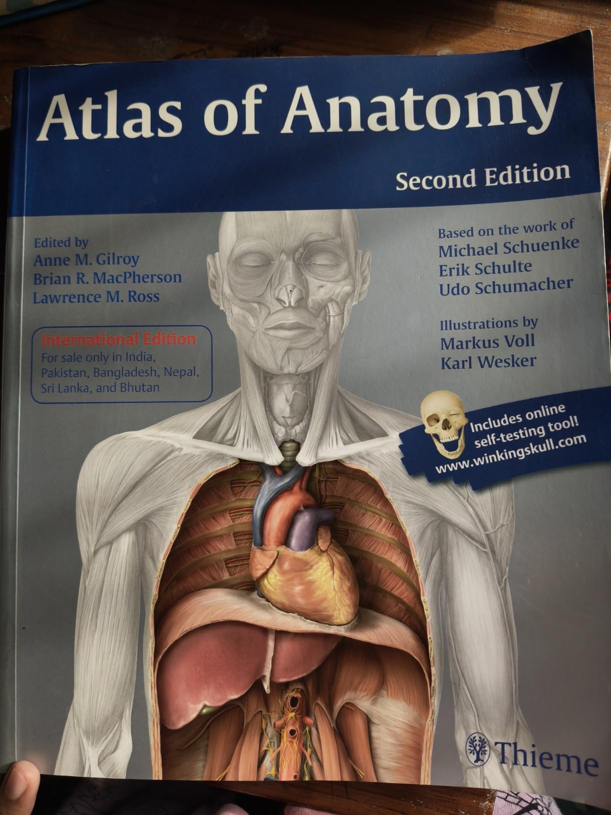 Buy ATLAS OF ANATOMY 2ED (PB) Book Online at Low Prices in India ...