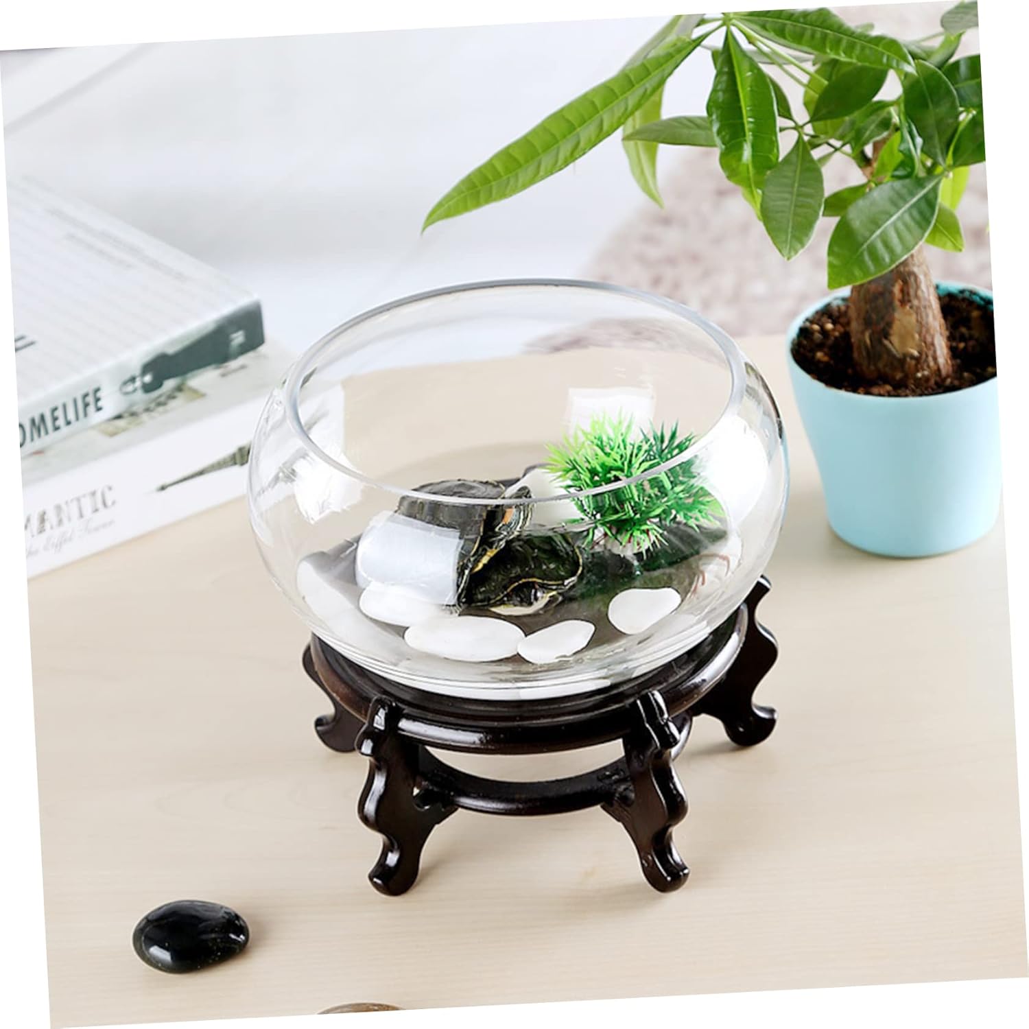 MAGICLULU 2pcs Glass Hydroponic Pot Multi Functional Terrarium for Succulent Plants Compact Fish Bowl Decor Transparent Planter for Home and Office Use