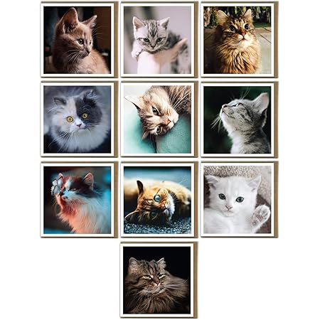 Home u0026 Garden Cards u0026 Invitations suneducationgroup.com Blank