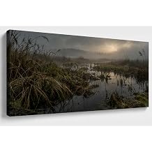 JILLICK Foggy Reeds Landscape Framed Wall Art for Modern Office
