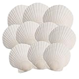 10PCS Scallop Shells, 4''-5'' White Seashells,for DIY Crafts, Painting, Ocean Themed Parties and Home Decorations.