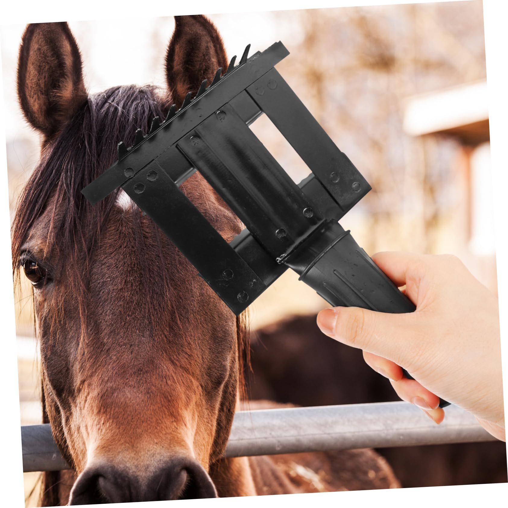 minkissy 3St Anti-Juckreiz-Rechen tierbürste tierhaar bürste Reinigungsbürste Haustier Bürste aus Tierhaaren Fellschaber für Nutztiere Kosmetik Reinigungskamm Metallbürste Rechenkamm Pferde