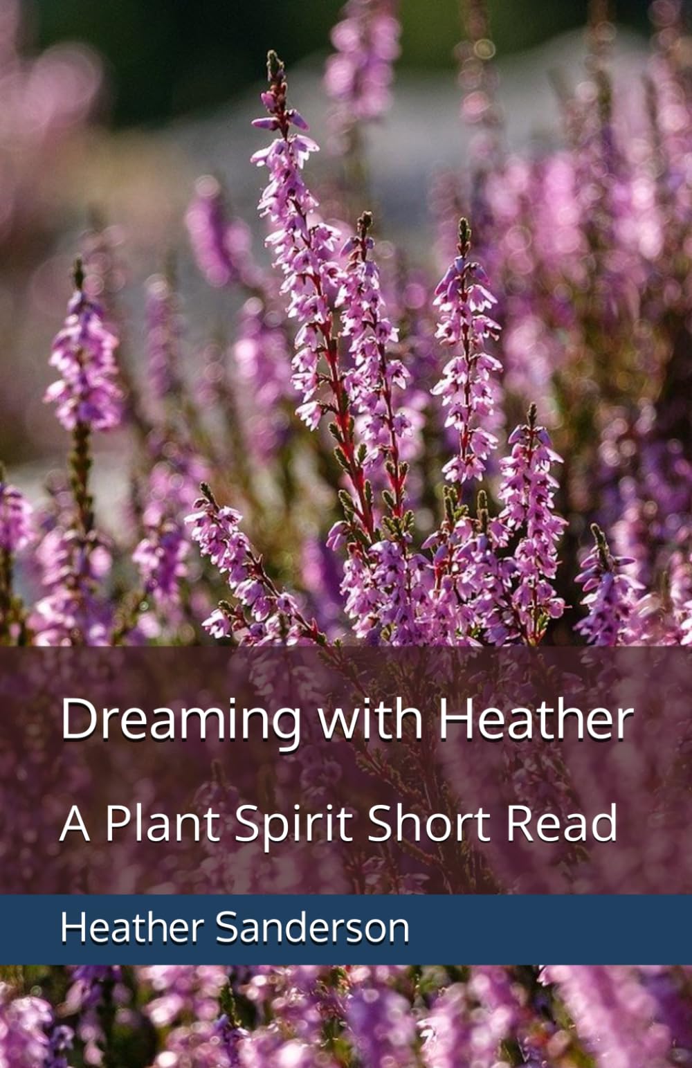 Dreaming with Heather: A Plant Spirit Short Read (Dreaming with the Plants)