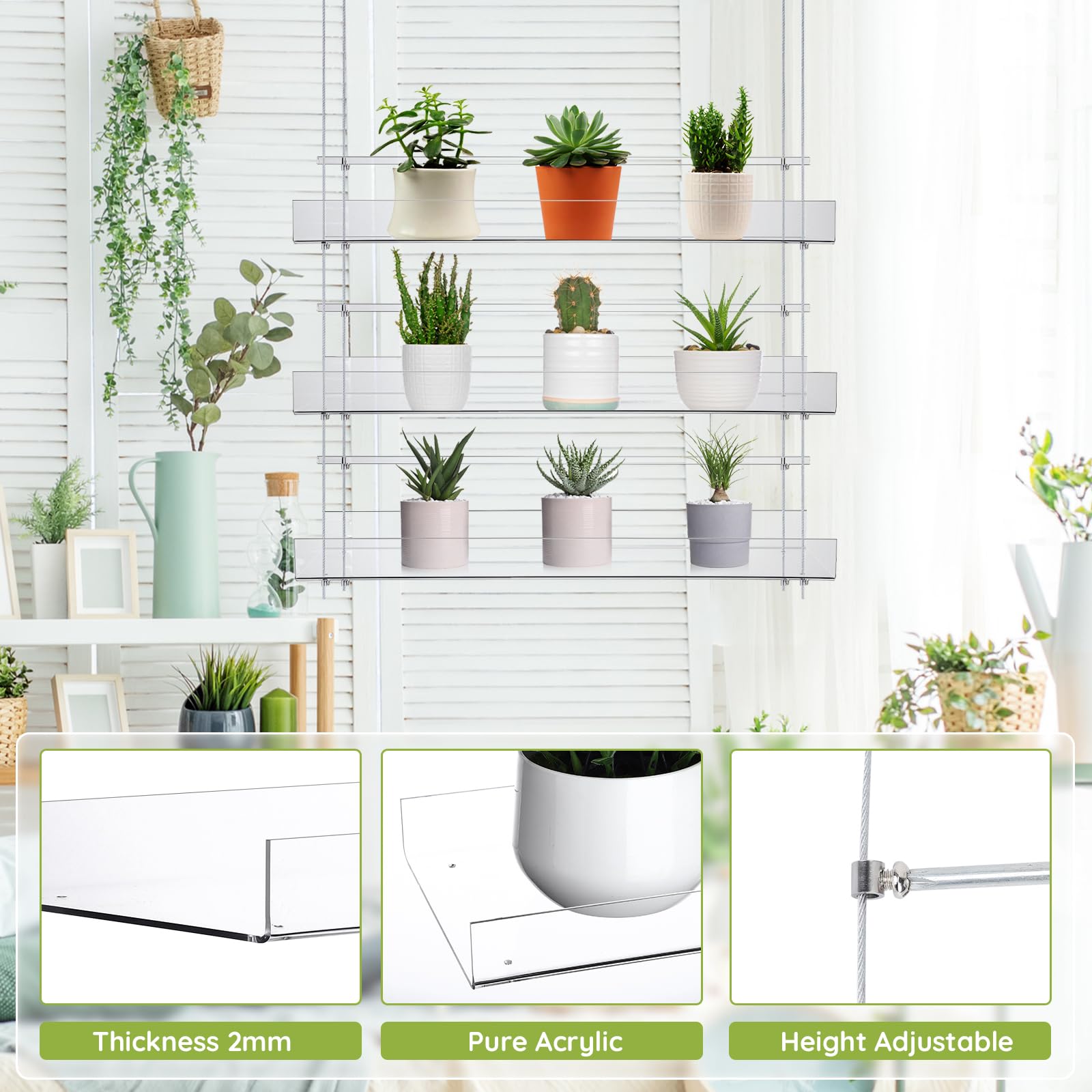 Window Garden Veg Ledge: Estante Invisible De Acrílico Para Plantas Con Ventosas (Hasta 4.5kg)