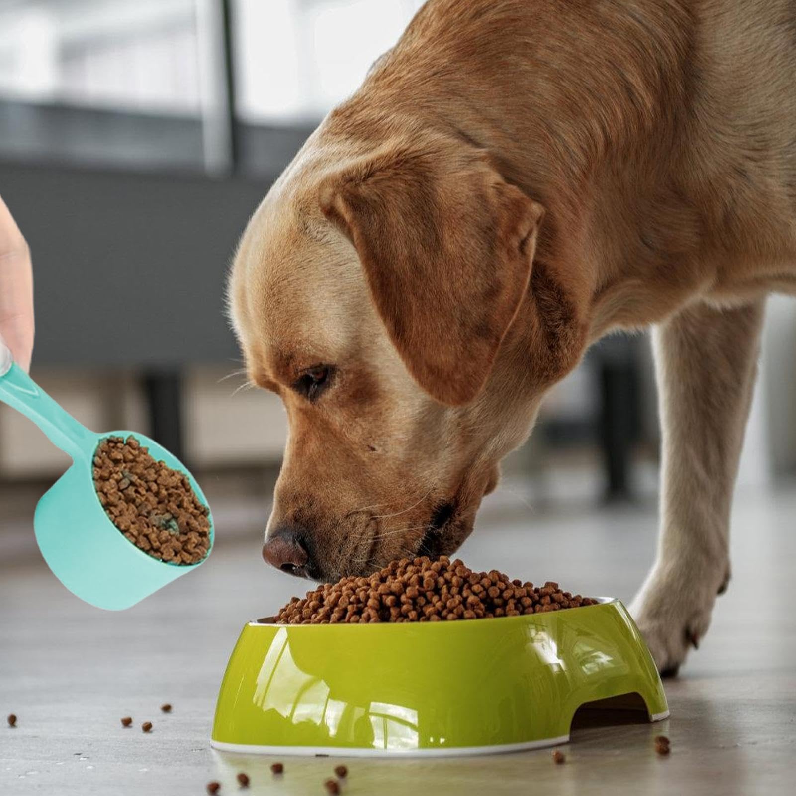 Cuchara medidora de comida para perros – Cuchara de melamina de 100 g de capacidad para cachorros | Cuchara de alimentación para mascotas con agarre cómodo, pala de control de porciones para