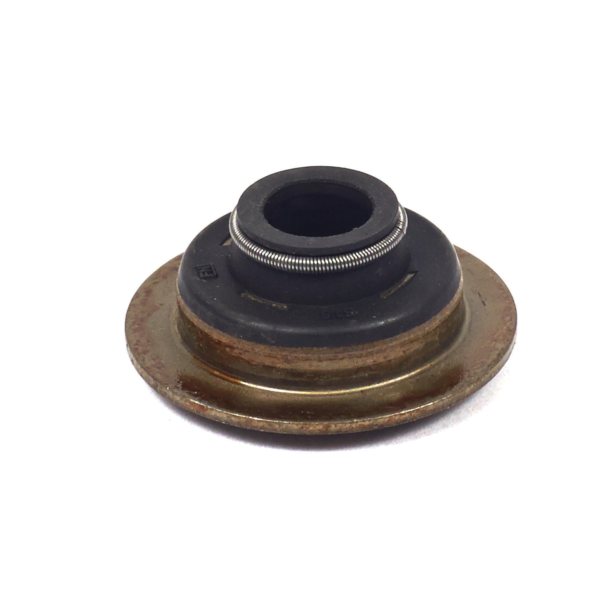 Amazon.com : Briggs & Stratton 692324 Valve Seal Replacement for  