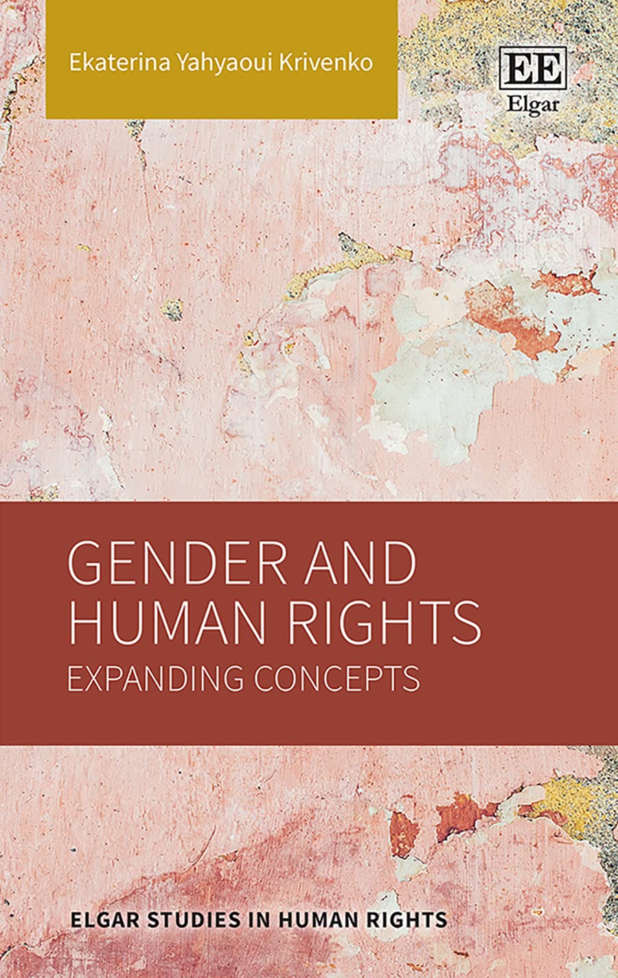 Buy Gender and Human Rights: Expanding Concepts (Elgar Studies in Human Rights) — BookShops.in