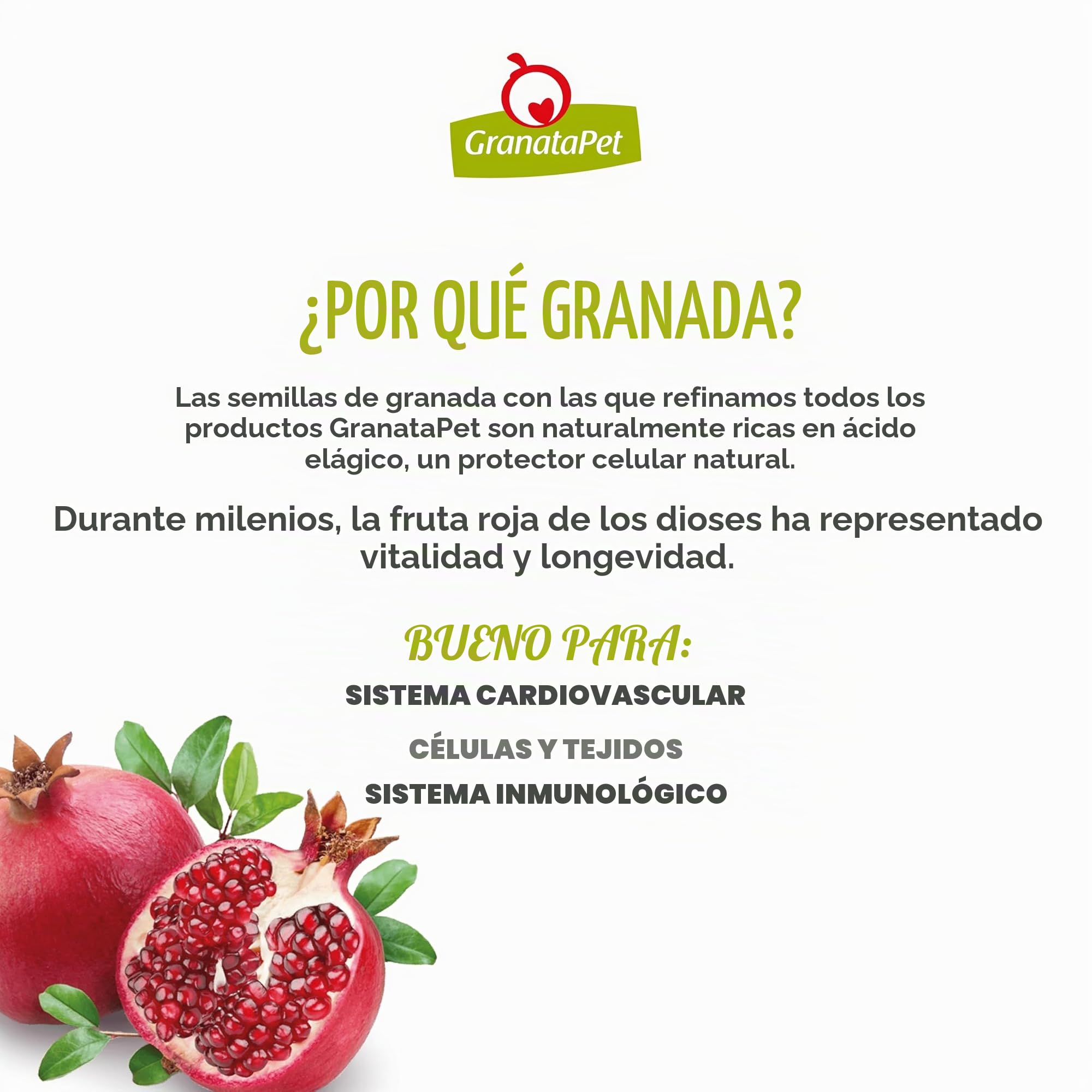 GranataPet Natural Taste - Pienso seco monoproteína para Perros, sin Cereales y sin azúcares, pienso Completo para Perros Adultos, 4 kg