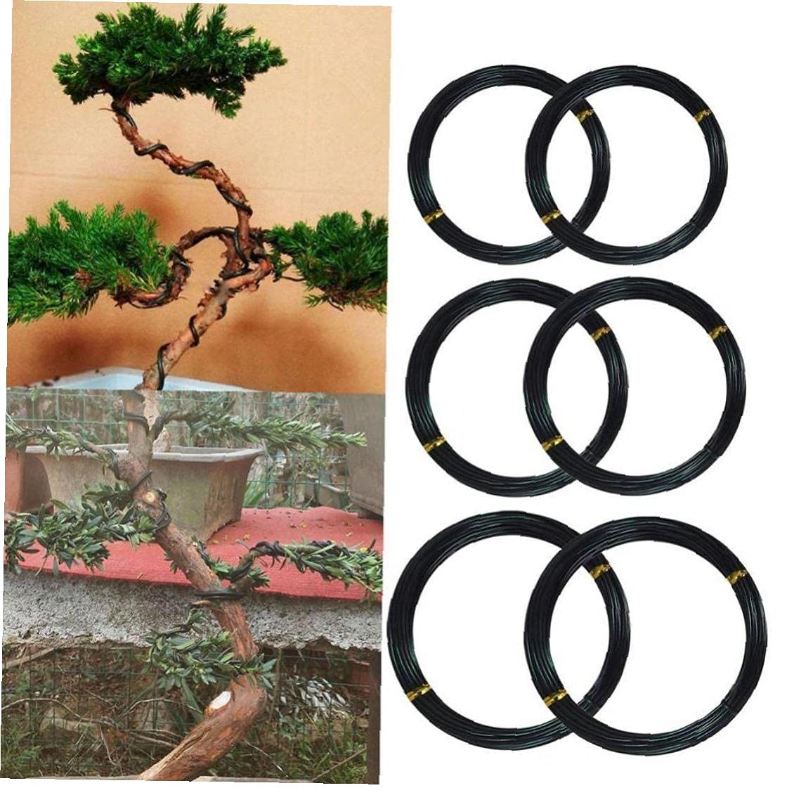 Bonsai Boy J41 7 x 5 x 2.75 in. Bonsai Training Pot - Heavy Duty Plastic - Taller Profile44; Brown