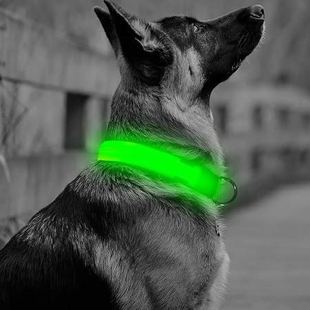 small dog collars amazon