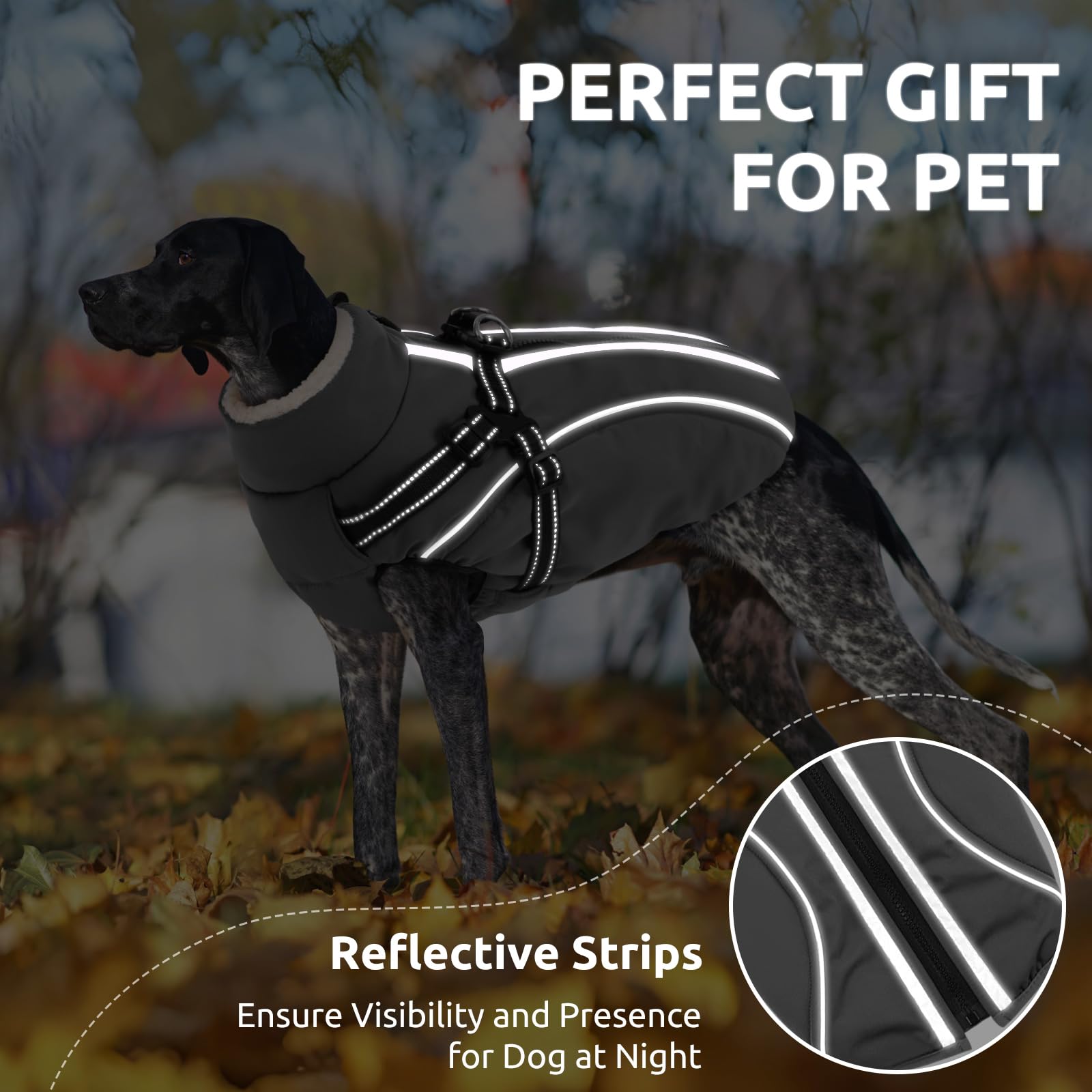 CITÉTOILE Hundemantel Hundejacke Warm Wintermantel mit Reißverschluss Winddichte & Winddichte mit Reflektorstreifen & Brustgurt für kleine Mittel Große Hunde Grau XL