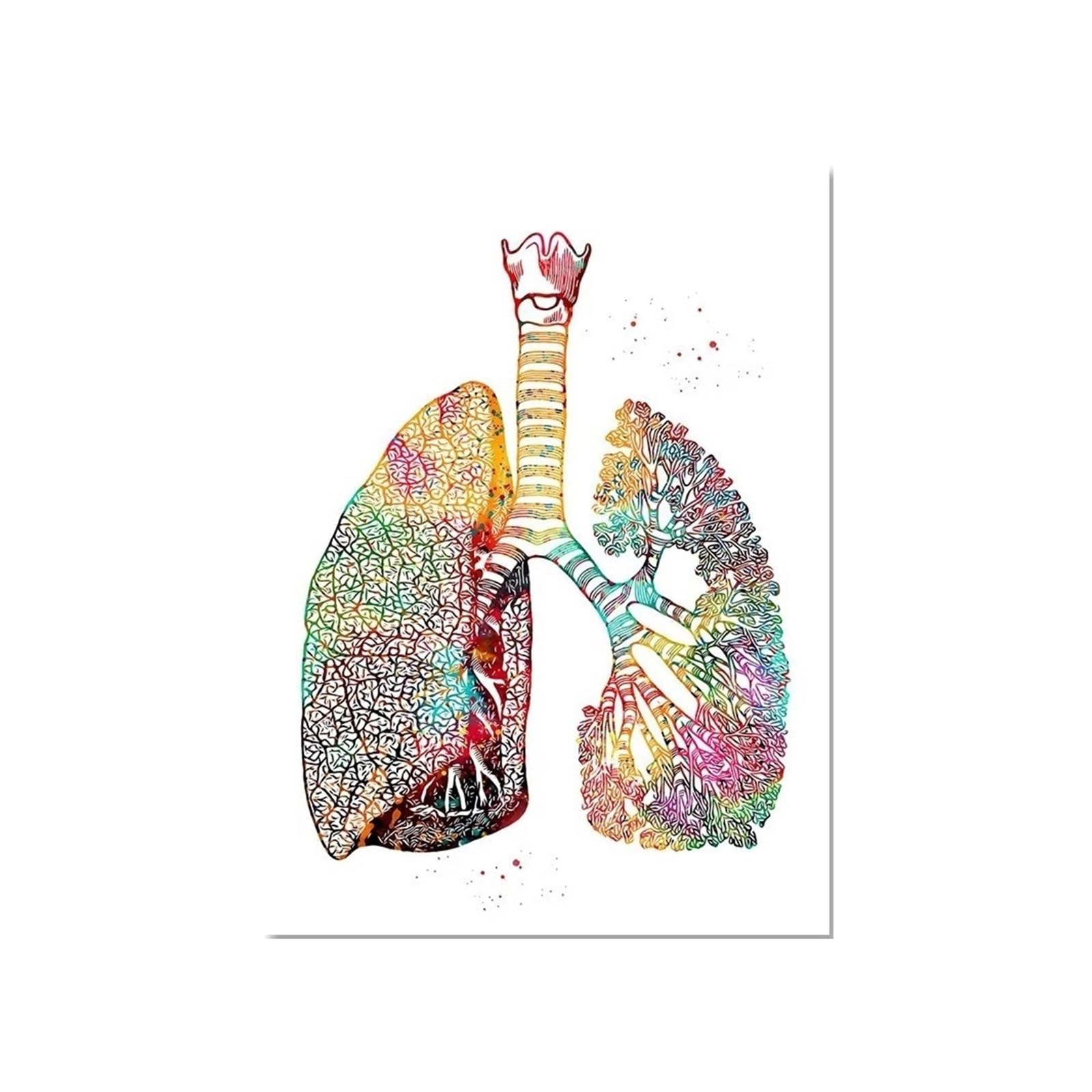 1pc Strona Główna Anatomia Człowieka Układ Mięśni Obraz Ścienny Na Płótnie Plakaty I Druki Mapa Ciała Zdjęcia Edukacja Medyczna Decor(ZLH8616,50x75cm Unframed)