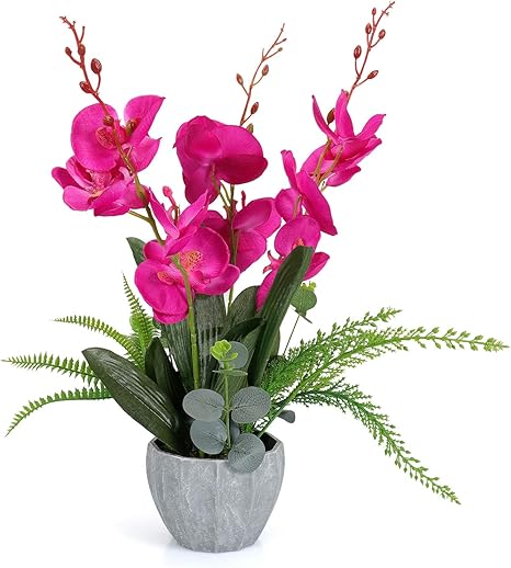 Amazon Com Yobansa 蘭花盆景人造花附仿瓷器花盆蝴蝶蘭假花裝飾 玫瑰紅 居家與廚房