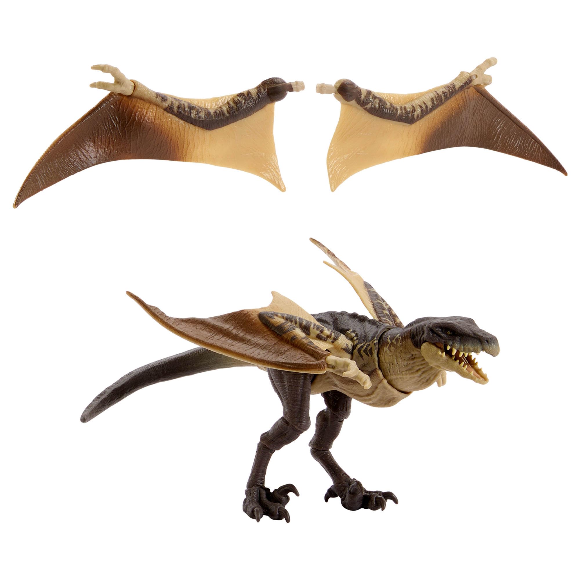 Mattel Jurassic World Hammond Collection - Mutadon, dinosauro articolato dal design premium con dettagli e occhi realistici, set di ali extra intercambiabili incluso, JKM90