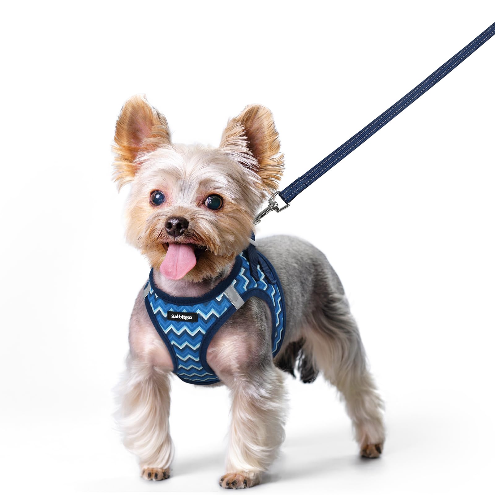 rabbitgoo Dog Harness Small Dog and Leash Set, Step-in Soft Mesh Puppy Harness with Reflective Strips, Lightweight Breathable Pet Vest for Walking Training, Blue Zigzag, XS โ image 1
