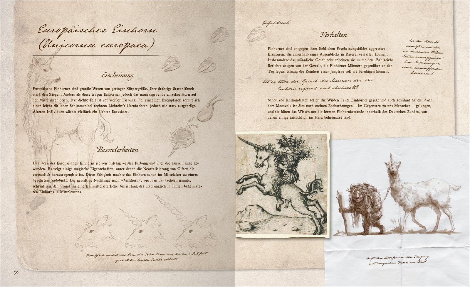 Fast verschwundene Fabelwesen. Die sagenhafte Expedition des Konstantin O. Boldt: Gewinner des SERAPH 2024 (Bestes Debüt) und "Buch des Jahres" (Phantastik-Couch)