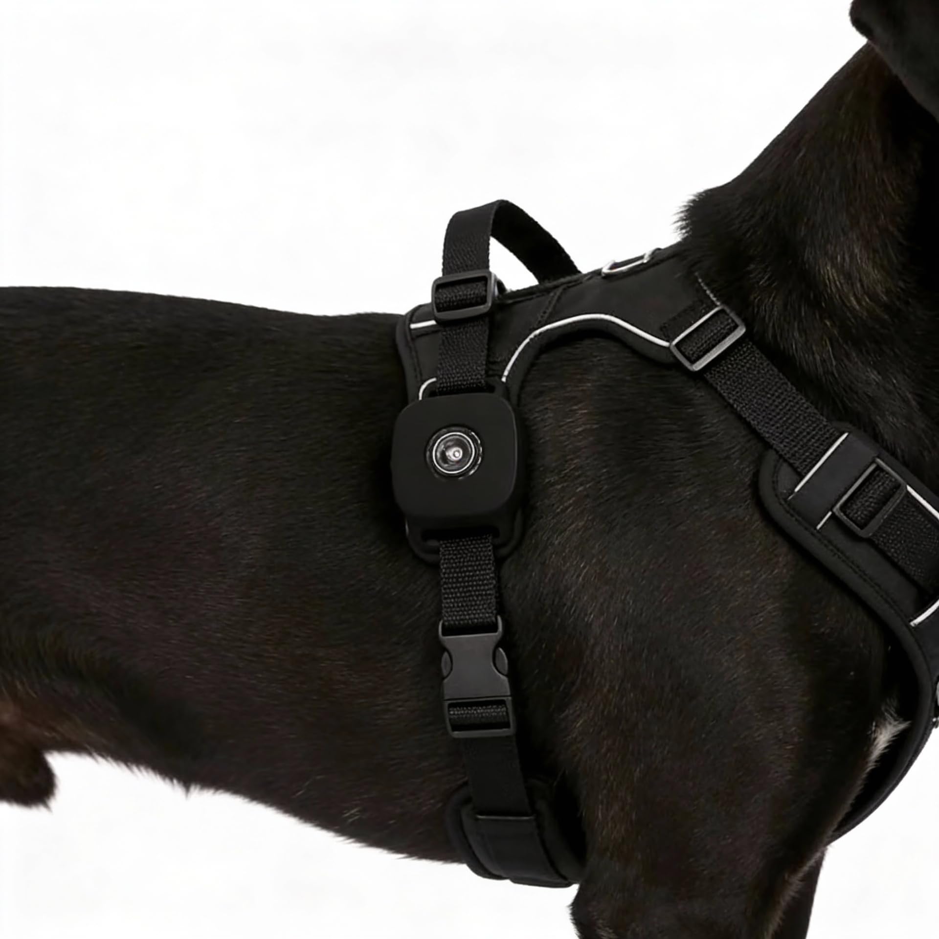 Fido Pet 4G GPS Tracker per Cani e Gatti, App Android e iOS, 4G, Geo-fence e SOS, Impermeabile IP65, Silicone, con Collare e Cover in Silicone, Batteria 450mAh, 40x45x12 mm