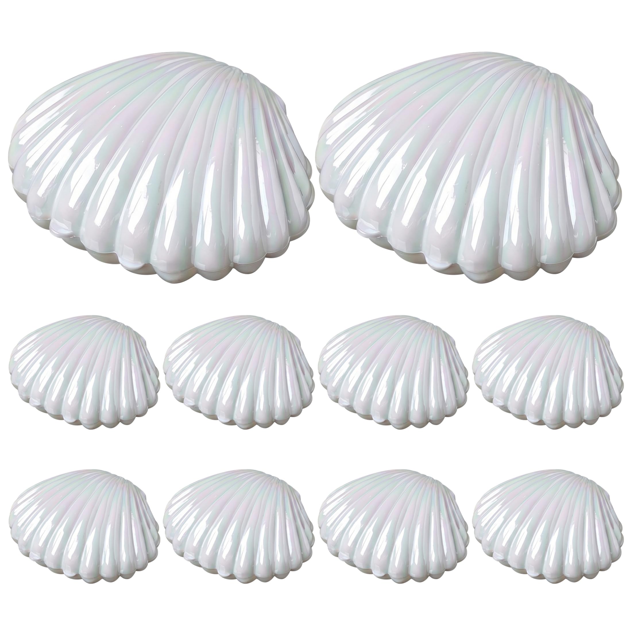 Boîtes à bonbons coquillages plastique transparent et porte-bijoux