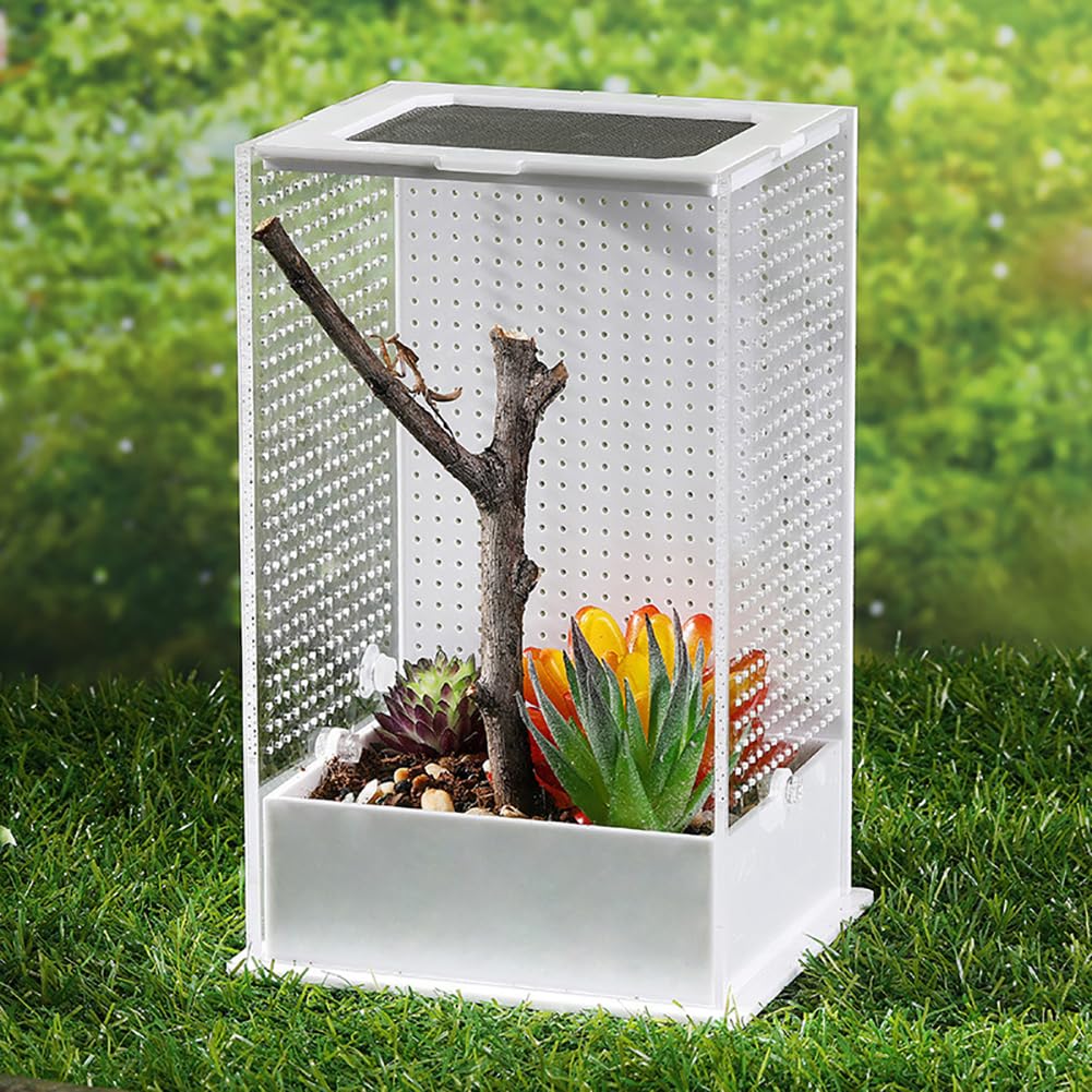 Akrylowe terrarium dla gadów, zbiornik dla gadów do wzrostu, mini terrarium do wzrostu gadów, siedlisko dla gadów dla zwierząt domowych, pudełko do żerowania dla gadów i płazów,S