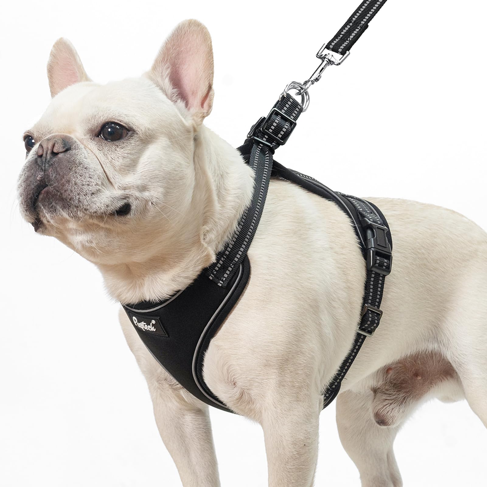 PUPTECK Dog Harness and Leash Set Medium Sized, Adjustable Reflective Escape Proof Puppy Vest, No Pull Walking Harness Easy Control