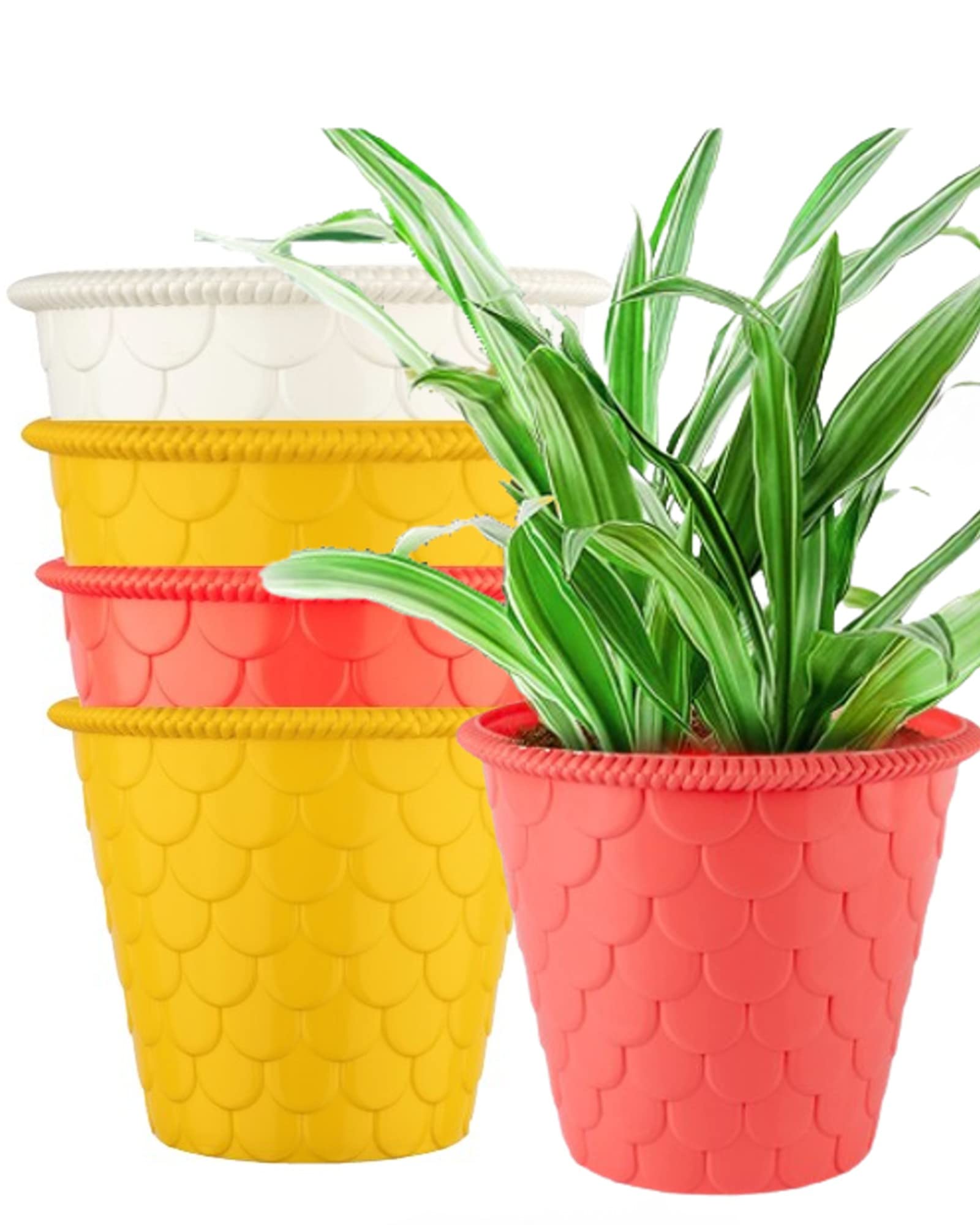 Tim Tim Agro 8 Inch Plant Pots, 5 Pack Plastic Planters Modern Flower Pot with Drainage Holes for All House Plants, Herbs, Flowers and Seeding Nursery, Colorful (B0BRWNJG3K) Amazon Price History, Amazon Price Tracker