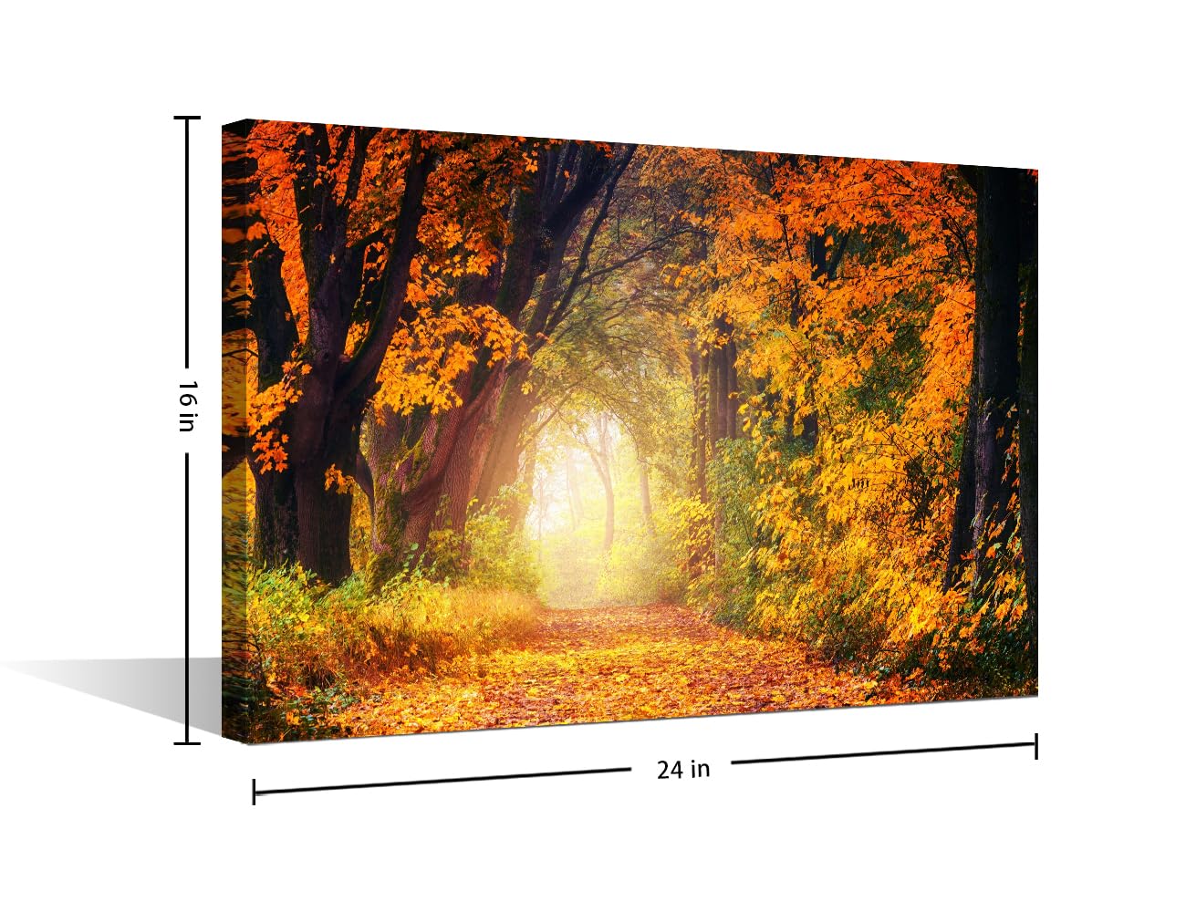 Wall Decorations for Living Room Modern Path Through Autumn Fall Season Tree Forest Wall Art Scenery Pictures for Bedroom Home Decoration Posters and Prints Ready to Hang (24"W x 16"H) - Image 2