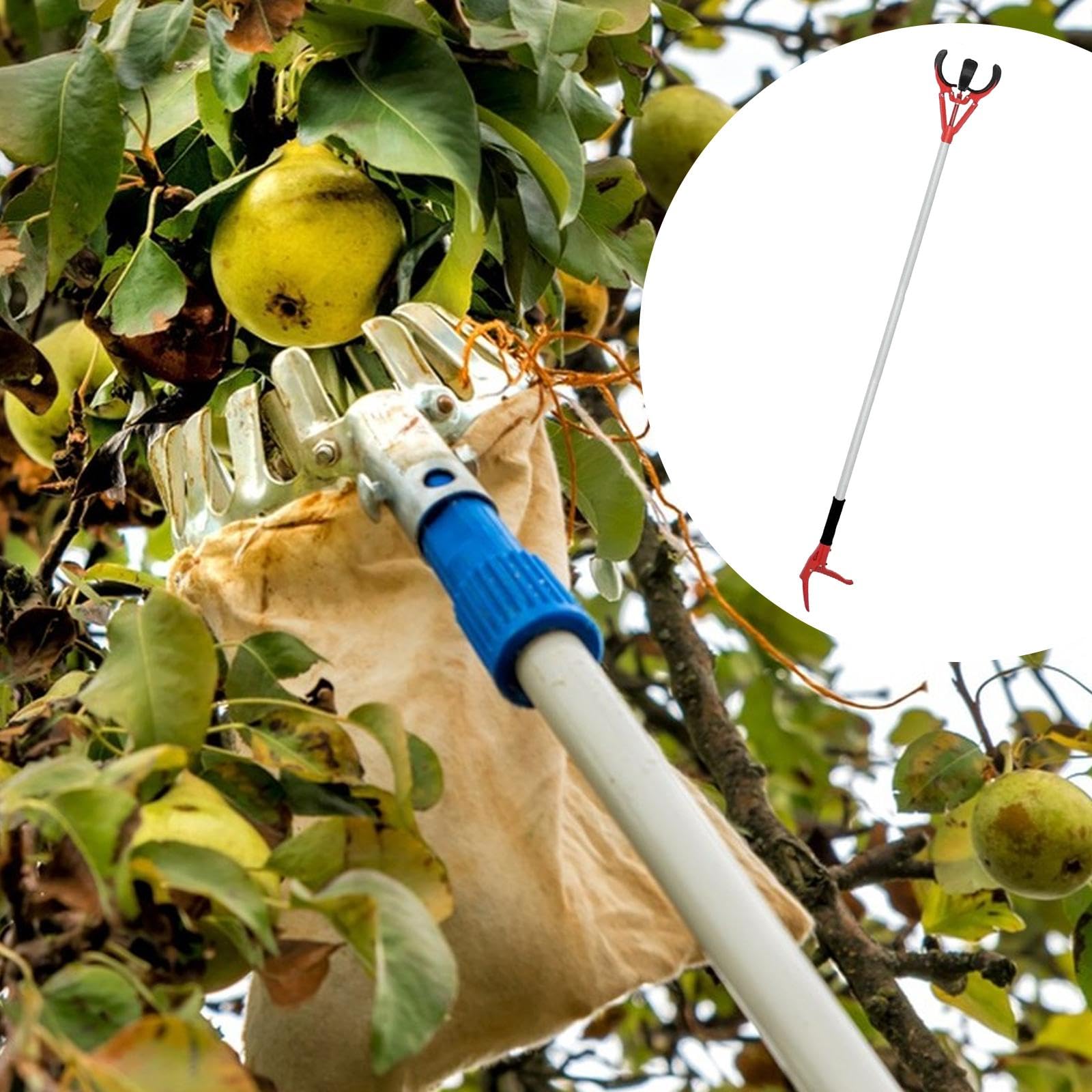 Gralara Cueilleur de Fruits avec Trois Griffes En Caoutchouc Polyvalent pour Obtenir Des Fruits Orange