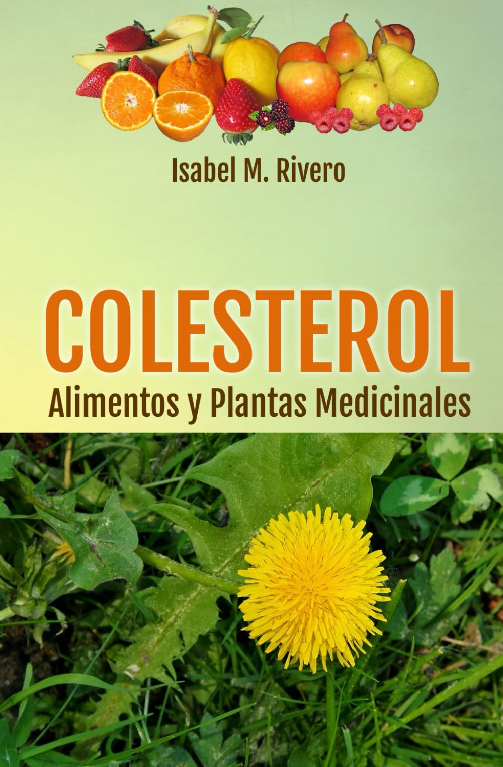 COLESTEROL. Alimentos y Plantas Medicinales: Conoce TODO sobre el colesterol, y aprende cómo reducirlo con la alimentación, con zumos y con las plantas medicinales más efectivas.