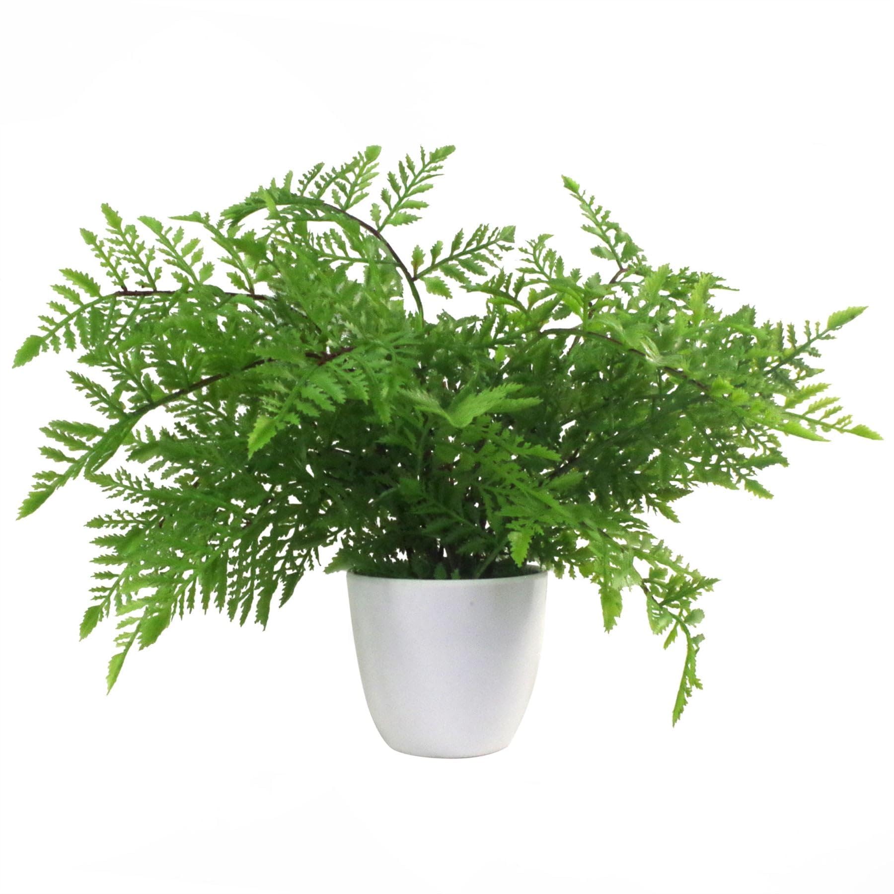 Botanik Premium Artificial Fern Grass