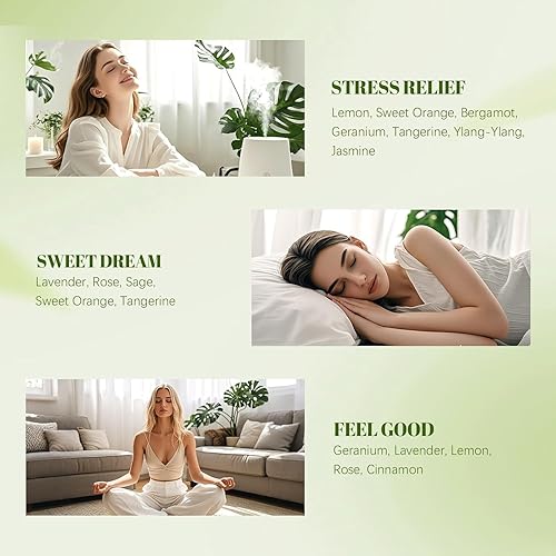 Miniatura 17 de Juego de aceites esenciales de panadería, aceites aromáticos de 6 x 0.3 onzas líquidas para difusores del hogar, fabricación de velas y jabón