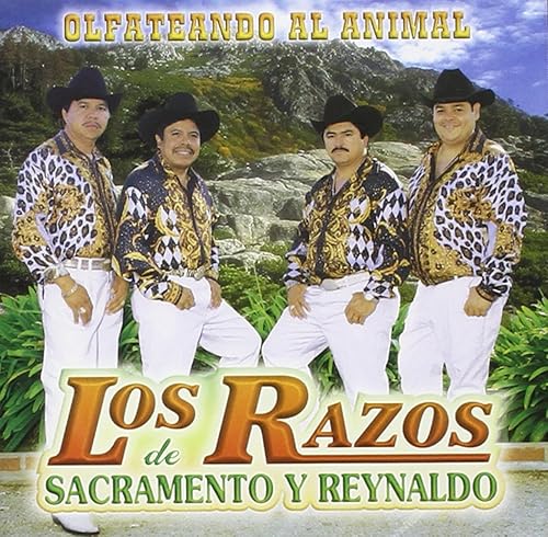 Olfateando Al Animal