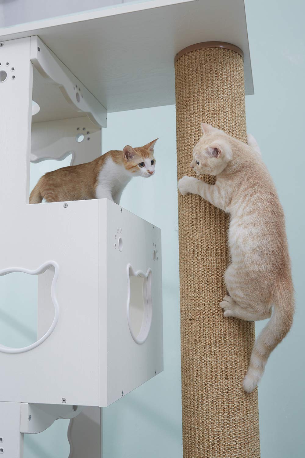 Cats Design Kratzbaum Grosse Katzen stabil/Katzenbaum XXL Edel/Katzenhaus  katzenhhle Katzenbett Multi Cat Tree 5 Stepp D5a : Amazon.de: Haustier