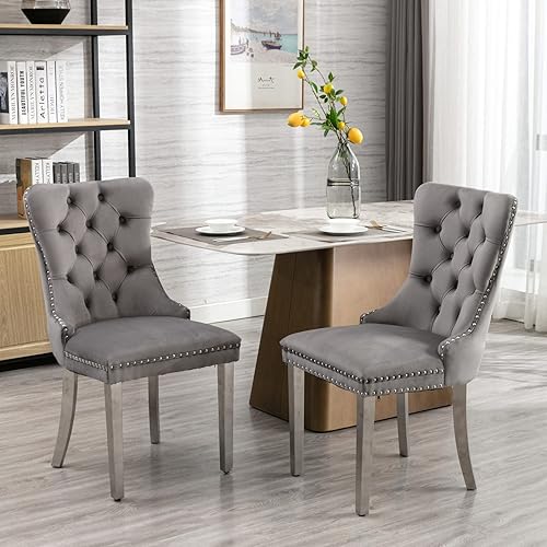 LZ LEISURE ZONE Juego de 2 sillas de comedor de terciopelo, sillas decorativas tapizadas con patas de metal plateado, ribete de cabeza de clavo,