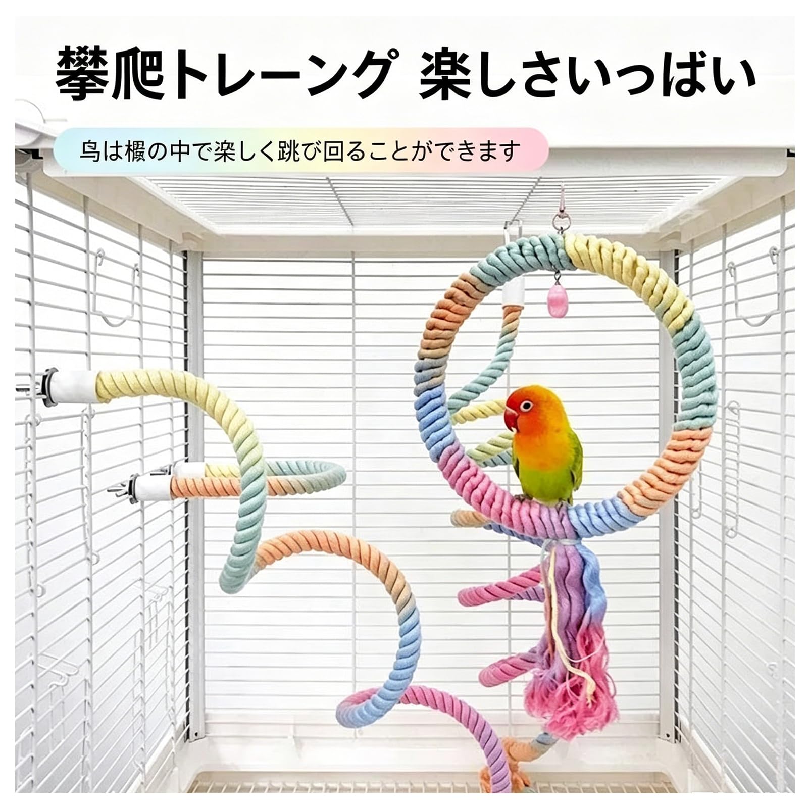 Amazon | 鳥かご用ロープ止まり木 2 本セット【40cm・80cm 各 1 本】麻