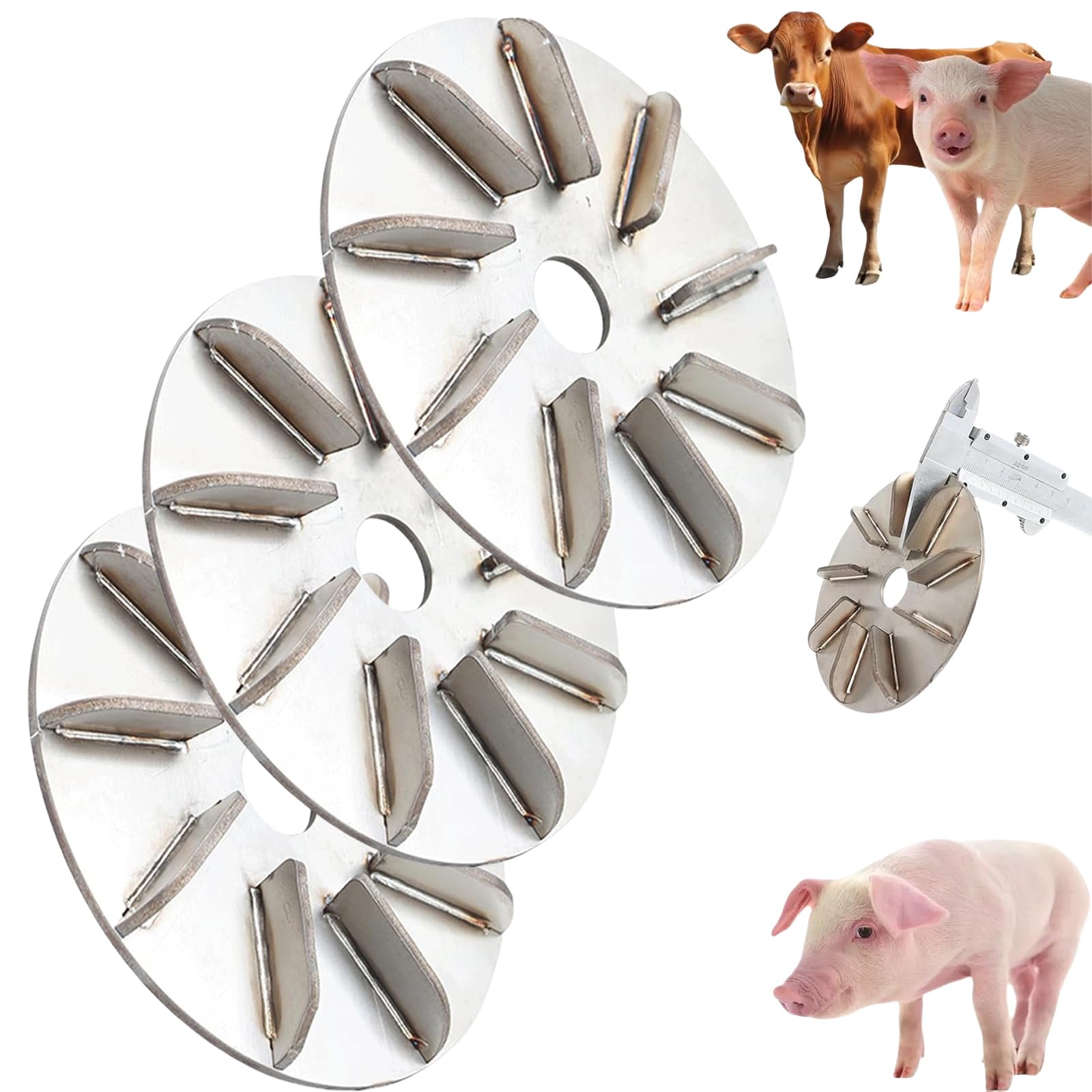 Lot de 3 disques pour enlever les poils de porc - Outil d'épilation de cochon en métal - Pour atelier familial, poule, mouton, bétail, porc, boucher