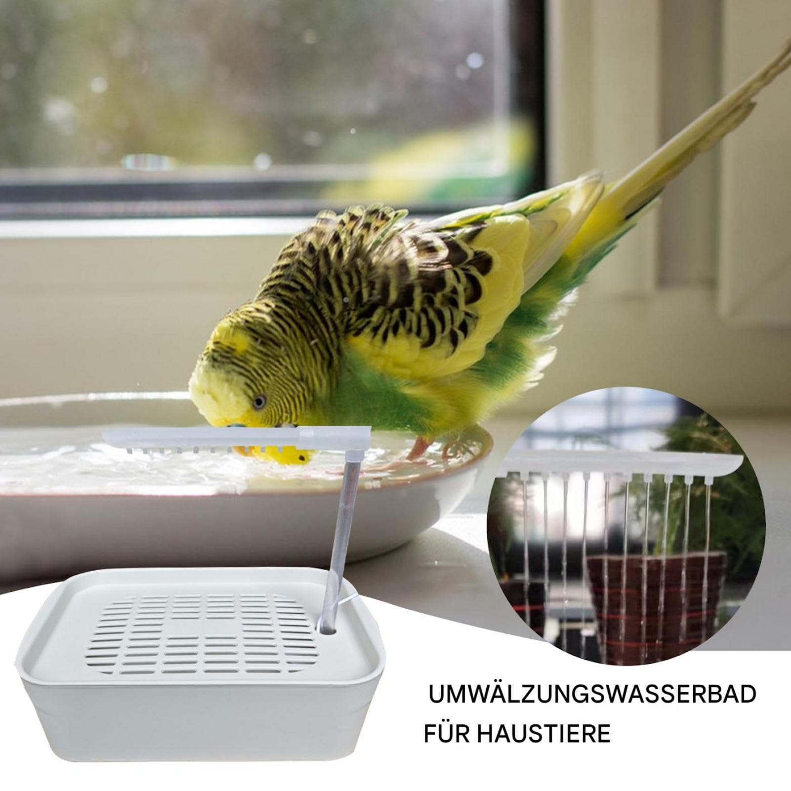 Parrot Bath, Parrot Bantub Automatyczny prysznic dla ptaków dla zwierząt