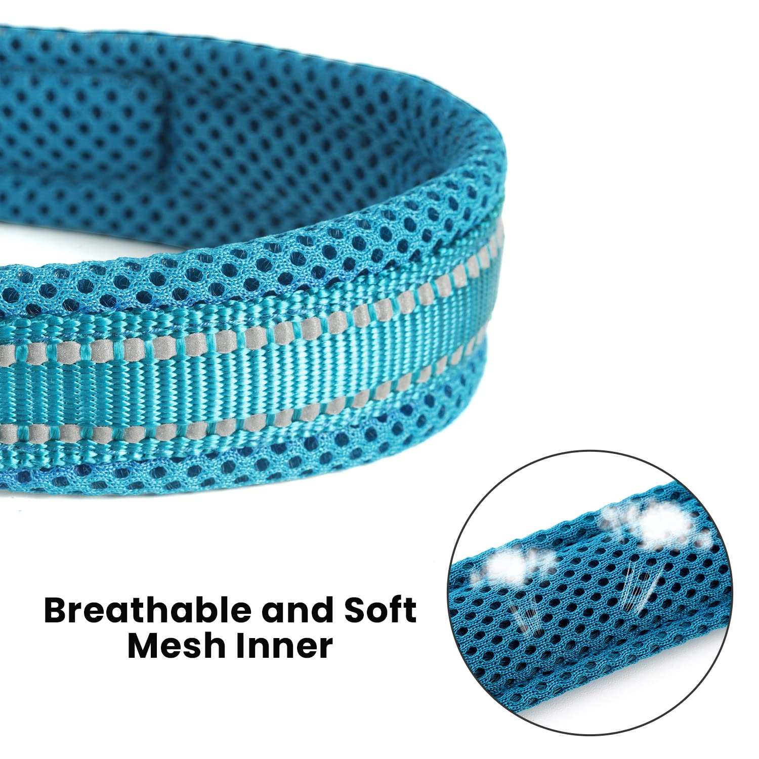 PETTOM Laisse pour Chien, Laisse Dressage Chien Grand Moyen Petit, Poignée Rembourrée, Réfléchissant(Bleu, 2m)