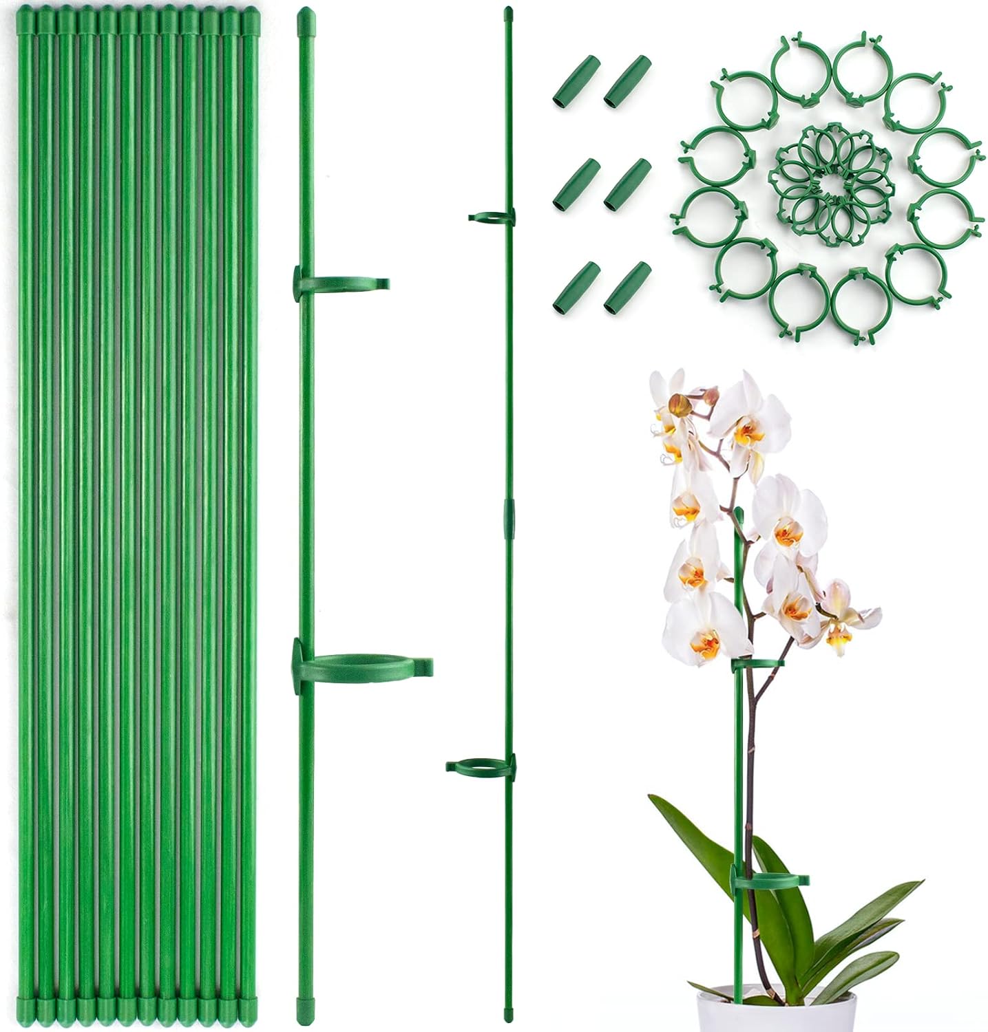 12 Pcs Plant Support Stakes, Adjustable & Extensible Garden Single Stem Floral Orchid Stakes with 24 Buckles, Plant Support Rings for Indoor and Outdoor Plants Flowers Tomatoes - 16 inch