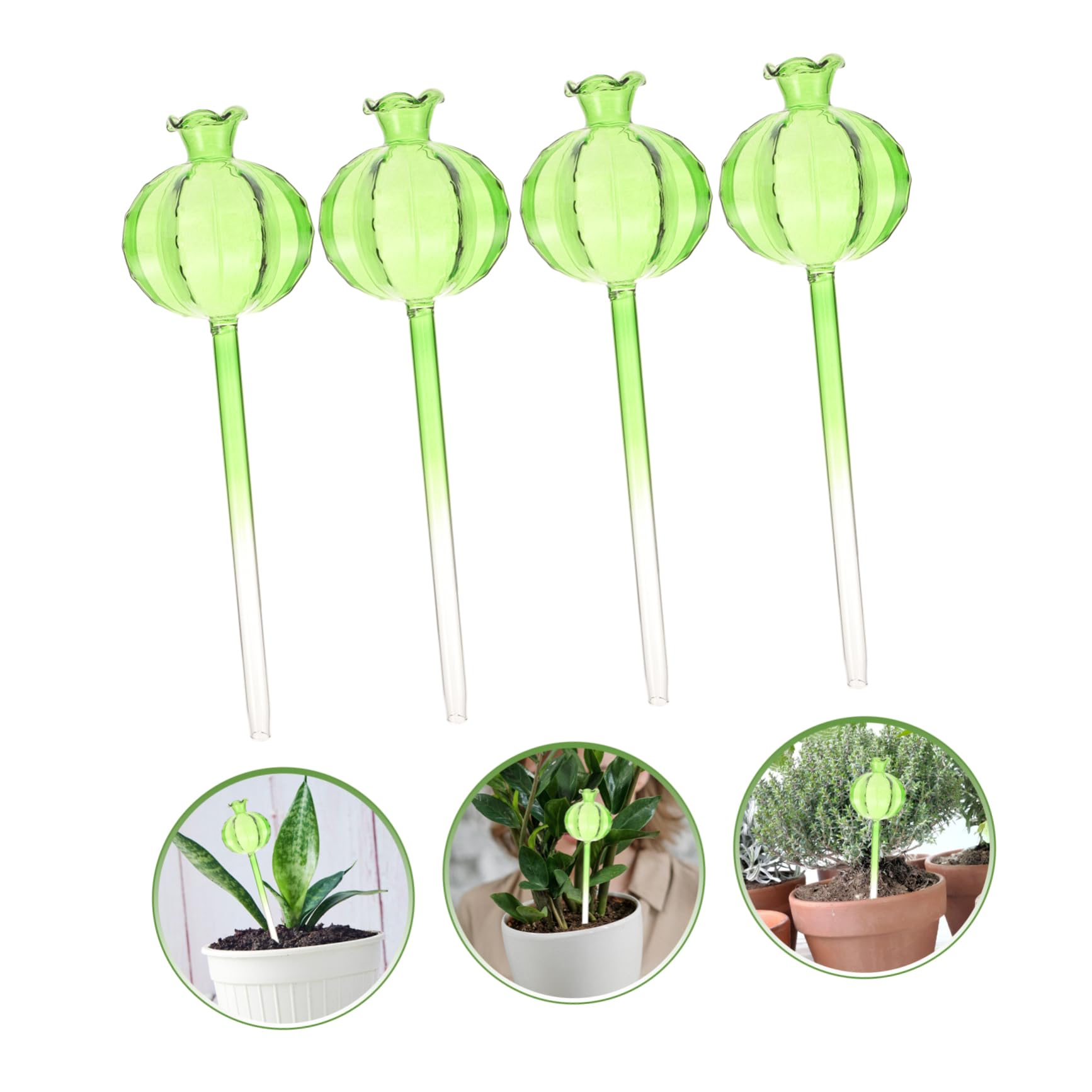 Kisangel 3 Ensembles Pot De Fleurs À Arrosage Automatique Pointes D'arrosage Bulbe D'arrosage Globes D'arrosage en Verre pour Plantes Globes d'eau Light Green Un Verre 4 Pièces * 3