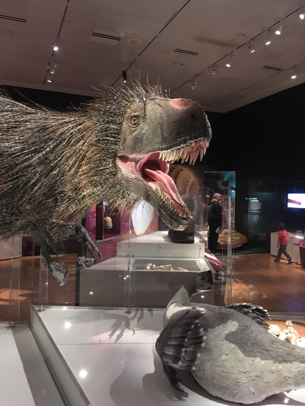 Interesting and readable