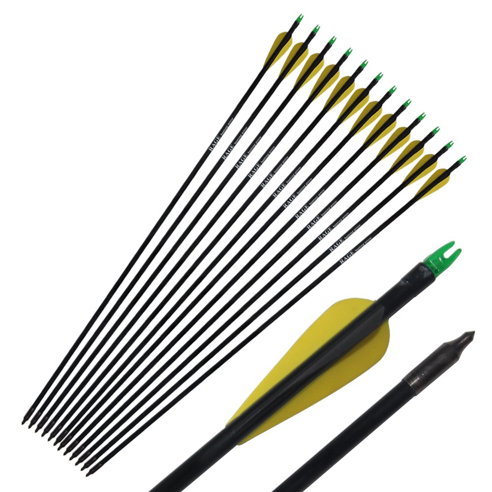 Buy e5e10 6Pcs Fiberglass Arrows 33" Target Practice Arrows with Black