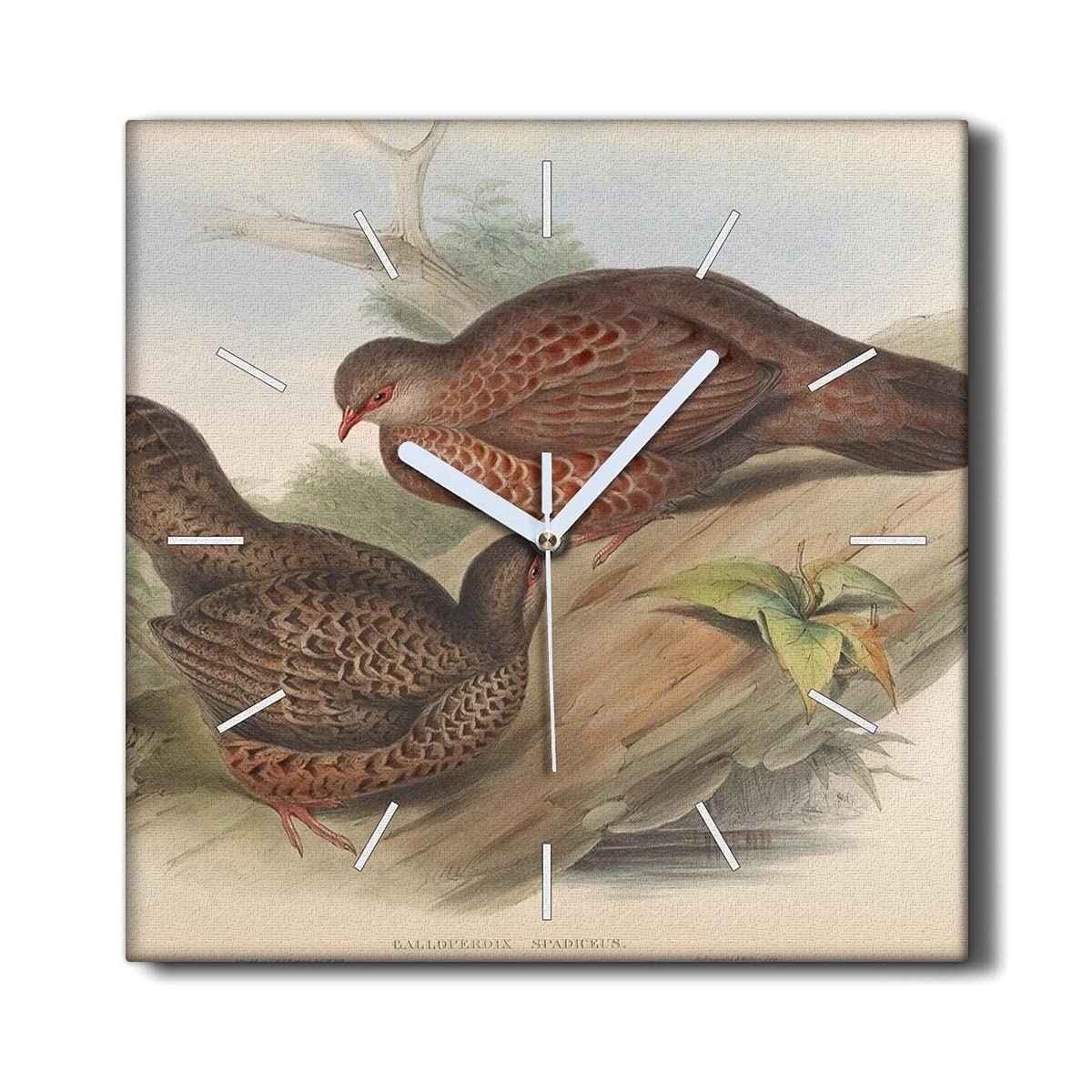 Horloge sur toile 30x30cm haut de gamme motif oiseaux de salon