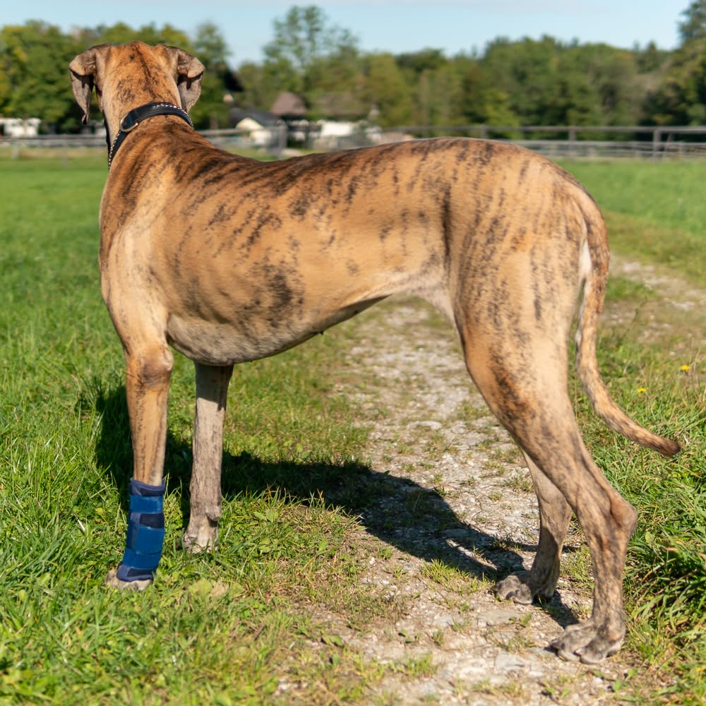 Karpalgelenkbandage Schaumstoff hoch Gr. XL für Hunde & Katzen mit Schienen zur Stabilisierung bei Durchtrittigkeit & Hilfe bei akuten Verletzungen am Karpalgelenk