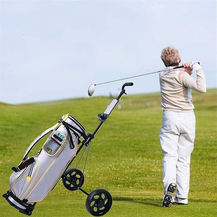 Amazon｜ゴルフプッシュカート 2輪ゴルフトロリー、ゴルフカート