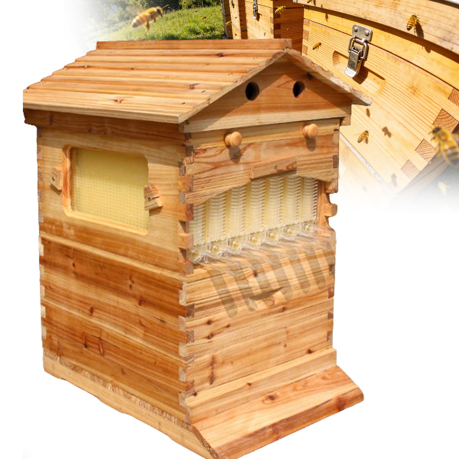 Kit de démarrage de ruche en bois automatique avec fenêtre d'observation et bec de miel pour l'apiculture d'arrière-cour, équipement d'apiculture complet