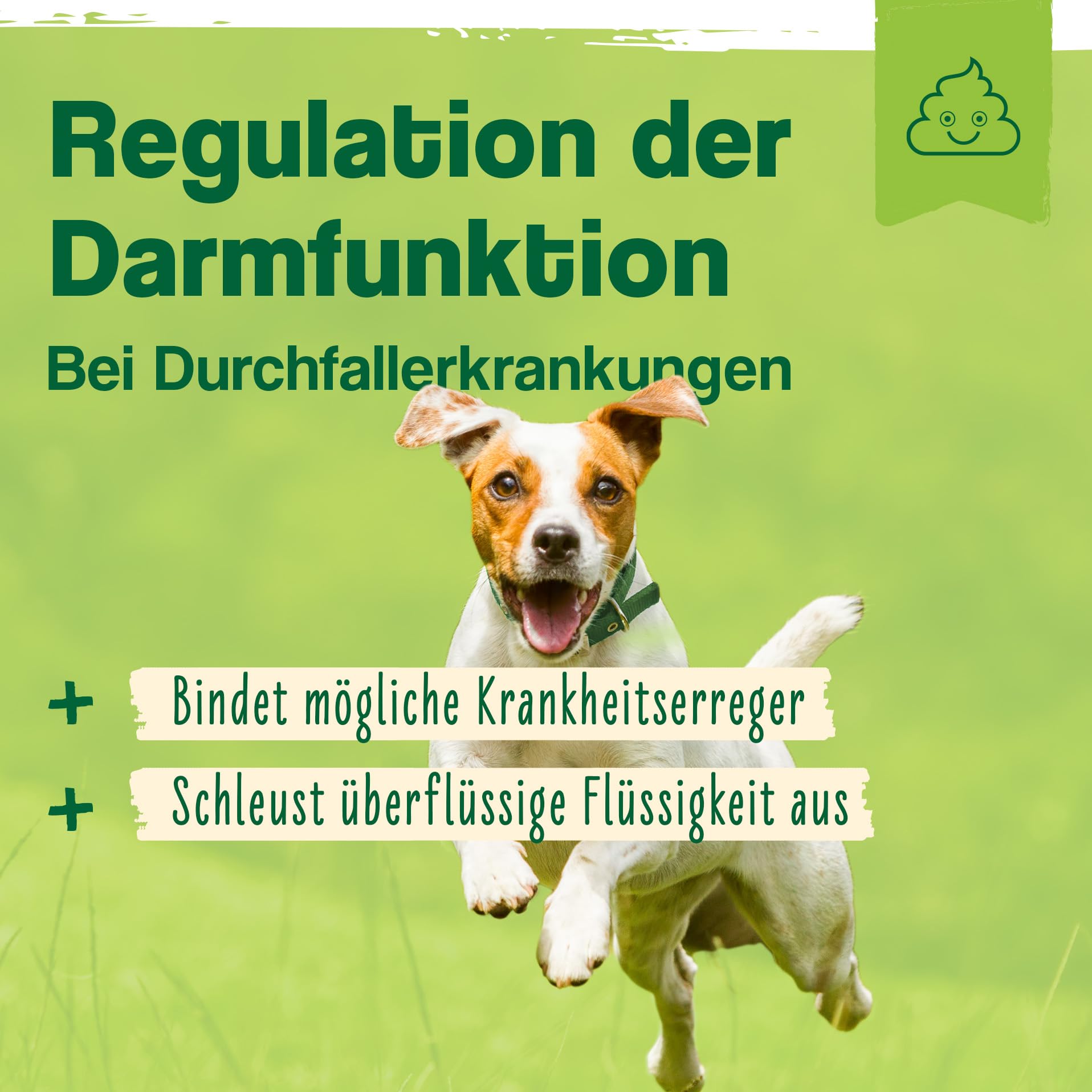 Ida Plus Diar-Stopp Tabs - Kautabletten gegen Hunde-Durchfall - Durchfallmittel - Hund-Darmflora aufbauen mit Probiotika - Darmsanierung - Stoppt Durchfall - 120 Tabletten